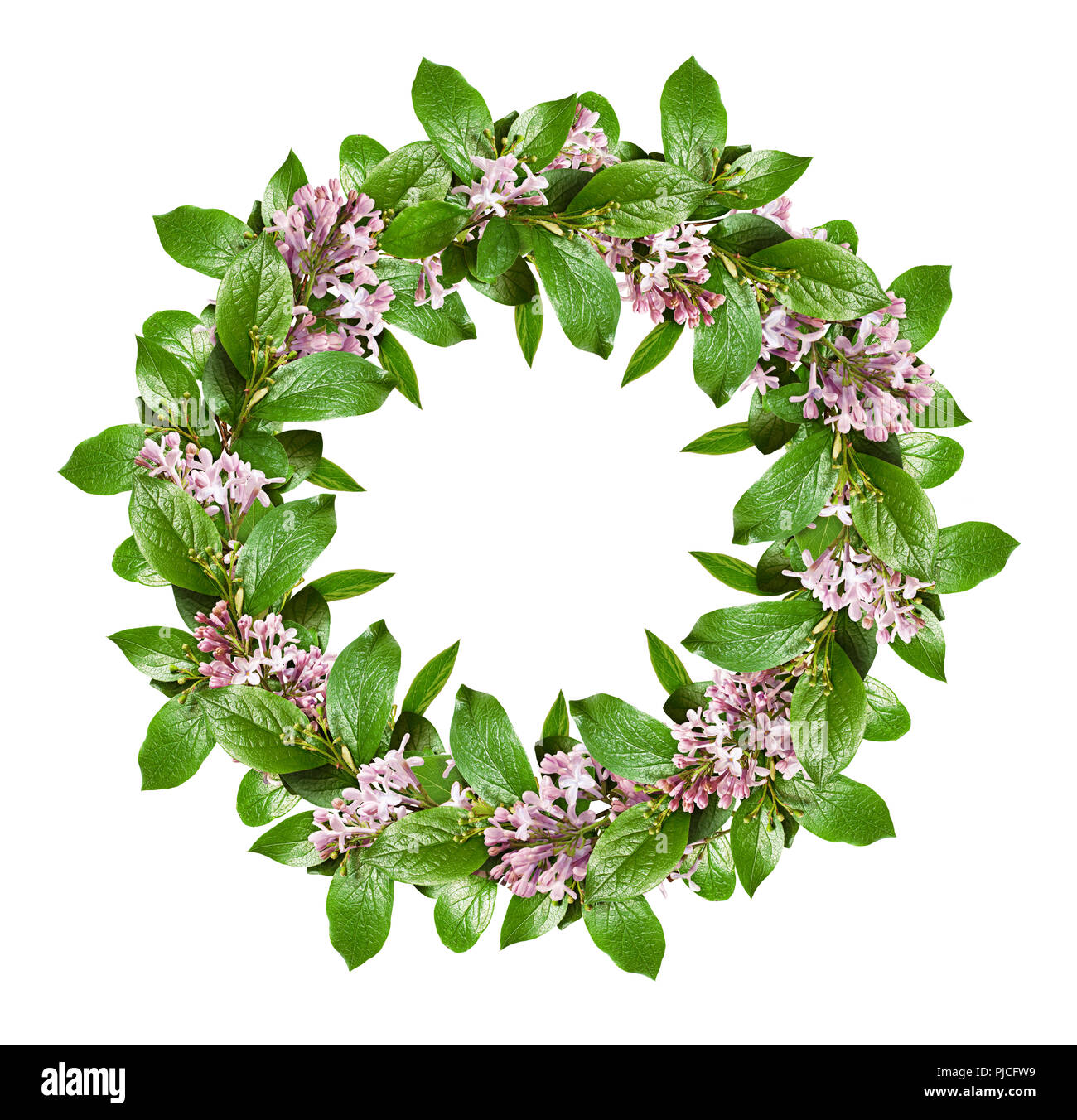 Couronne de printemps avec des feuilles vertes et fleurs lilas isolé sur fond blanc. Mise à plat. Vue d'en haut. Banque D'Images