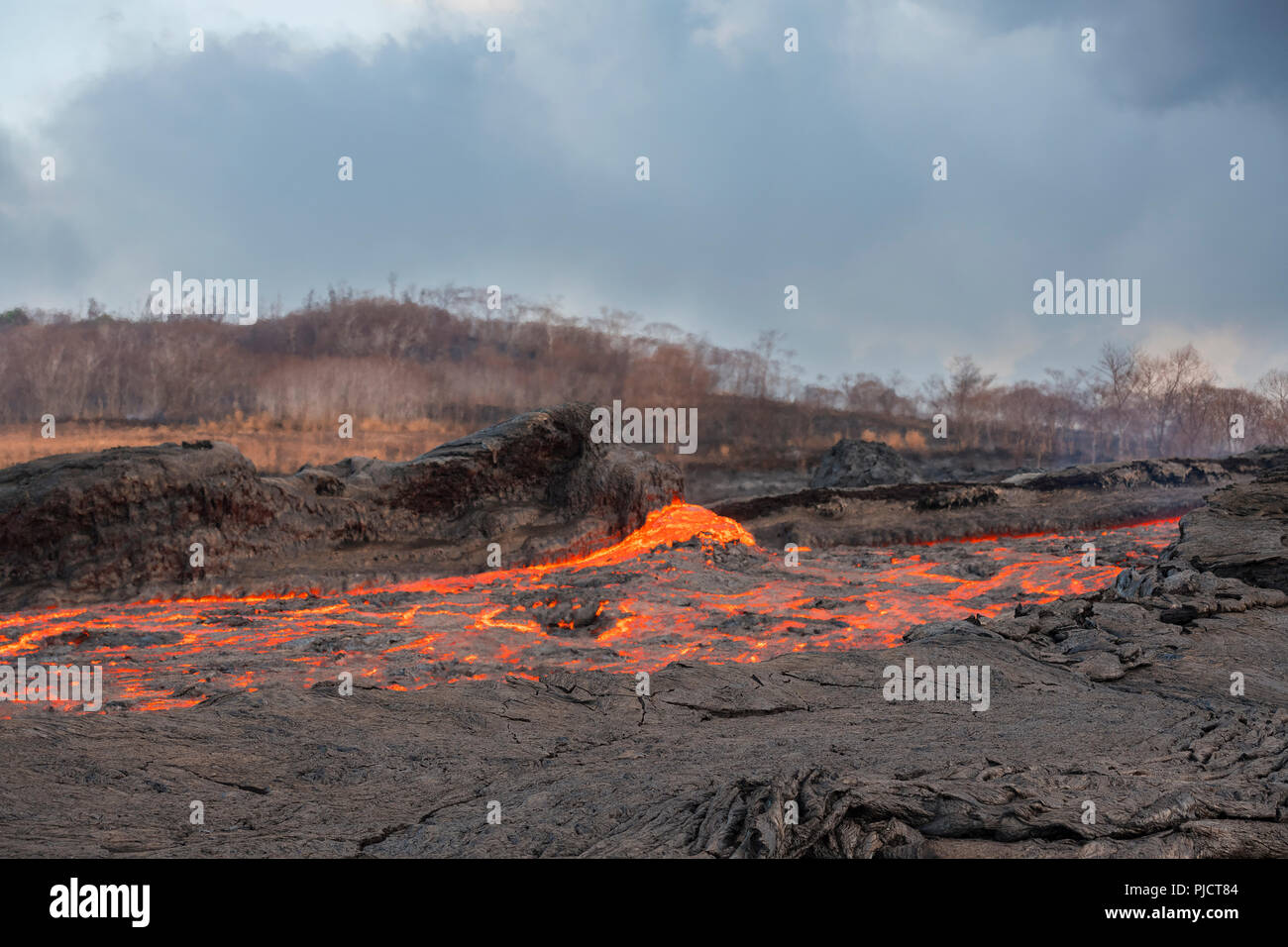 Une rivière de lave s'écoule à travers Kapoho, New York après l'éruption de fissure, 8 de la zone de rift du volcan Kilauea dans Leilani Estates près de Pahoa Banque D'Images