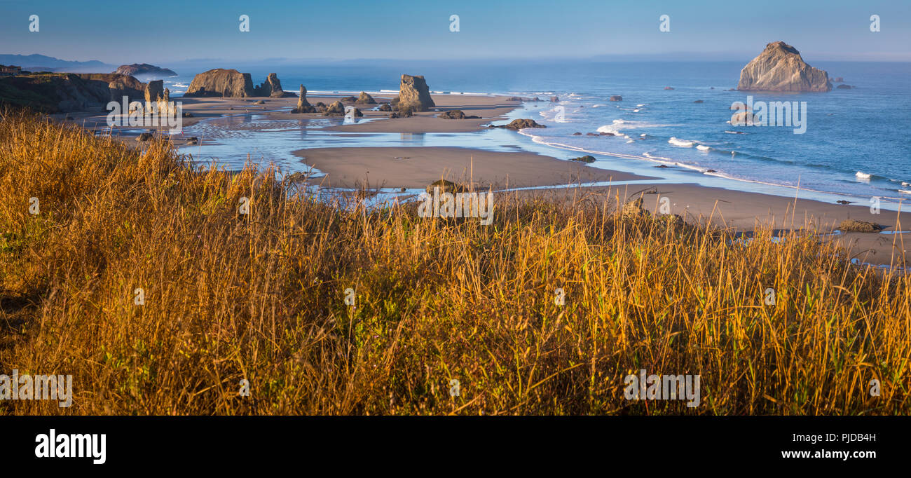 Arches, seastacks, et des pierres à Band.on Beach, Oregon. Banque D'Images