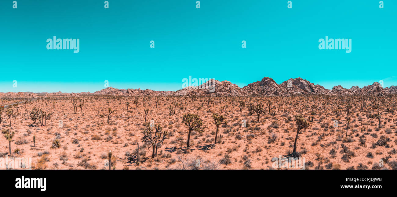 Un Rocky View de Joshua Tree National Park sur une journée d'été sans nuages Banque D'Images