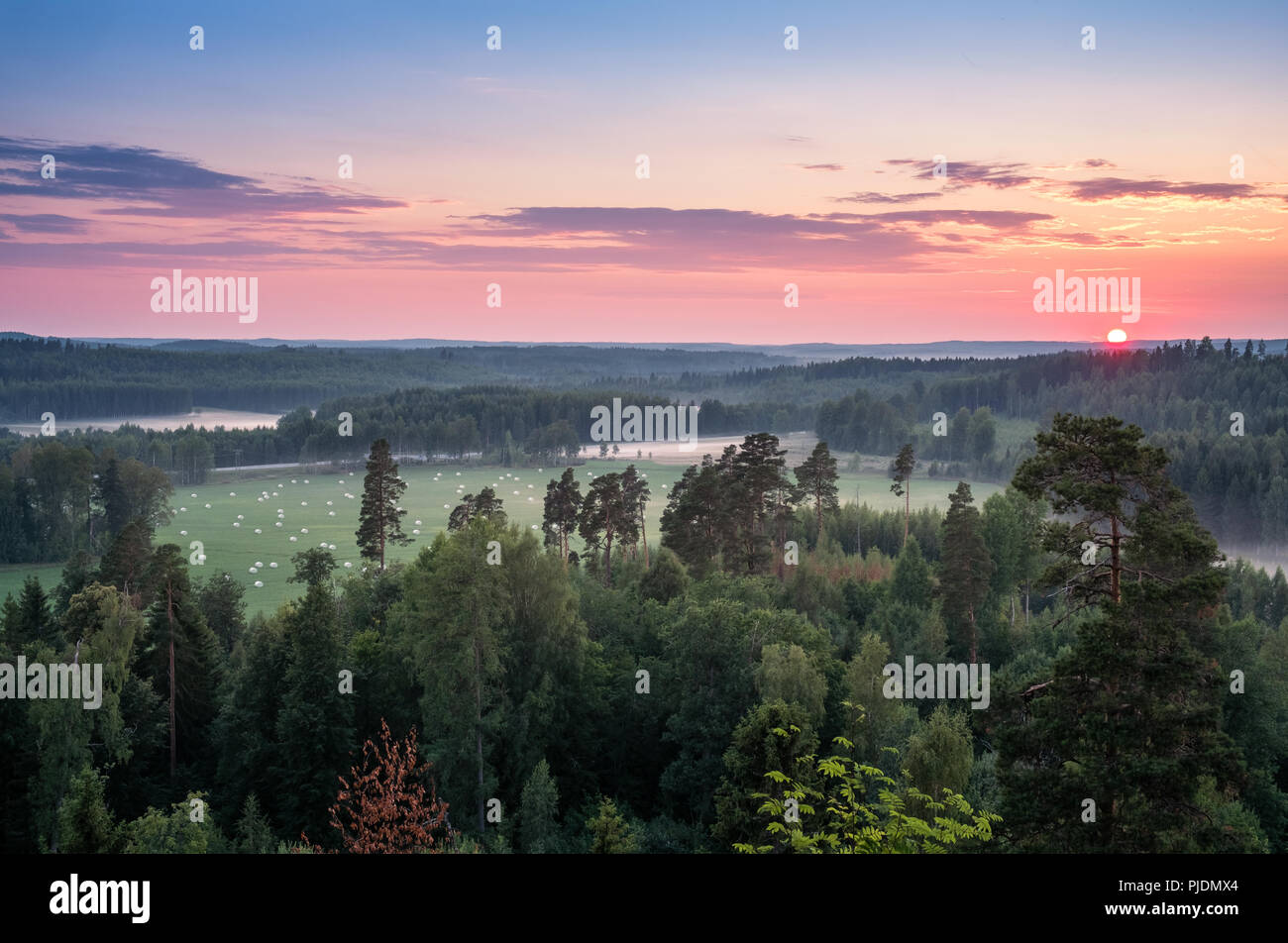 Paysage portrait avec le coucher du soleil et le soir à la lumière de l'été en Finlande Banque D'Images