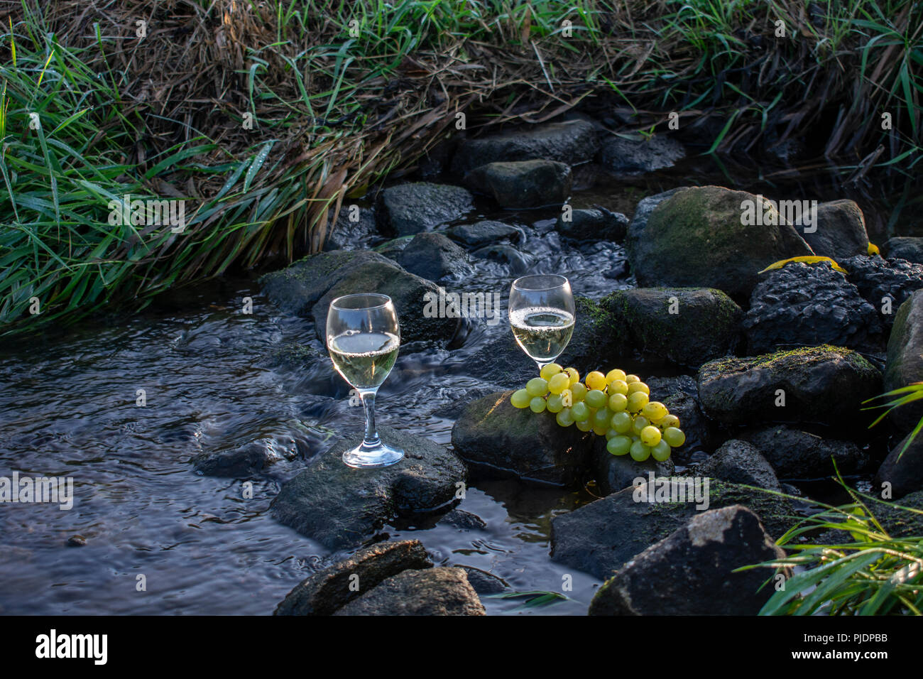 Verres à vin blanc et raisins sur des pierres dans l'eau qui coule. Banque D'Images Verres à vin blanc et raisins sur des pierres dans l'eau qui coule. Banque D'Images