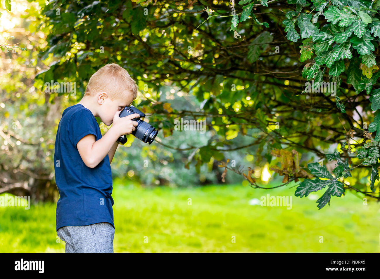 Jeune garçon photographie d'apprentissage avec son premier APN dans les bois. Banque D'Images