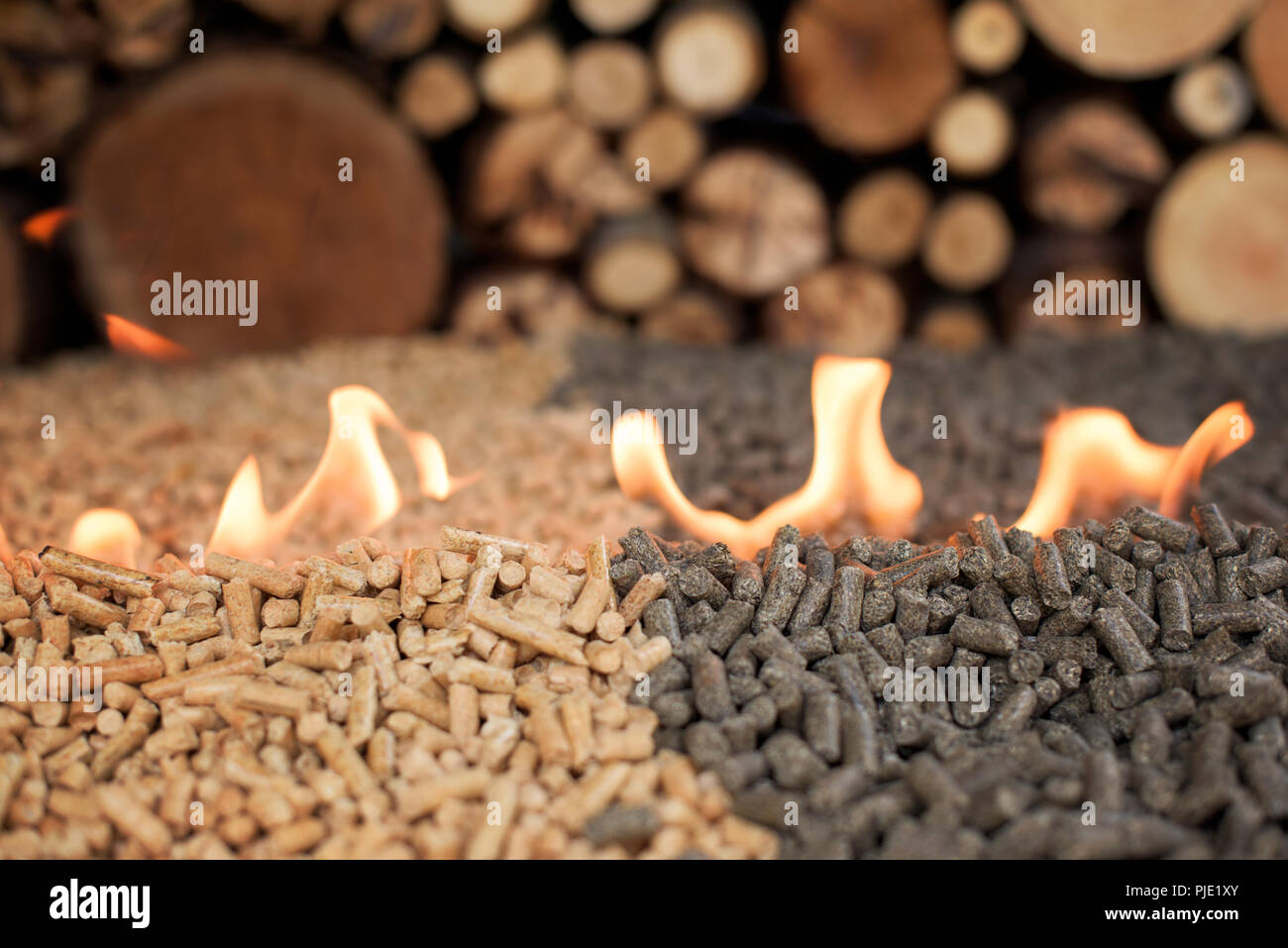Deux type de pellets de tournesol et de pin -- dans le feu Banque D'Images
