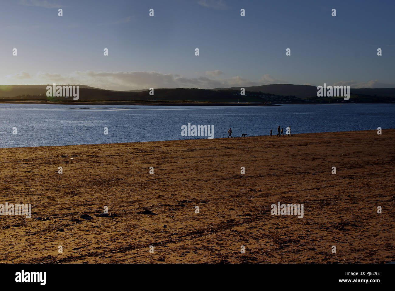 Un chien de la famille marche sur la plage d'Exmouth, Devon. La rivière Exe émerge dans la Manche Banque D'Images