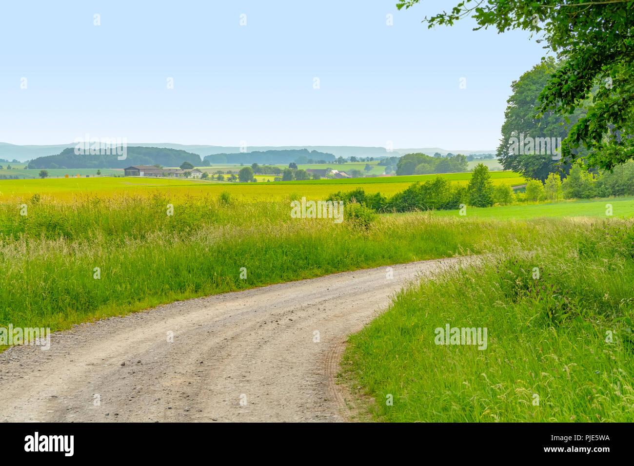 Paysage rural et idyllique avec des champs et prairies y compris un chemin de champ dans Hohenlohe, un salon dans le sud de l'Allemagne au printemps Banque D'Images