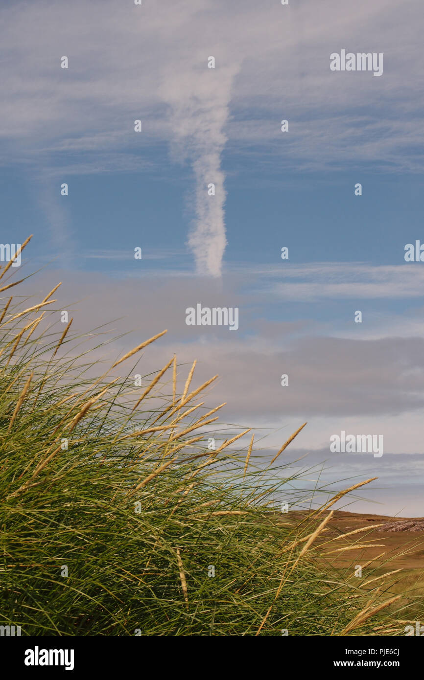 Une vue de la plage de Achnahaird à regarder vers le ciel avec sentiers avion contre un ciel bleu et nuages de lumière avec roseaux en premier plan Banque D'Images