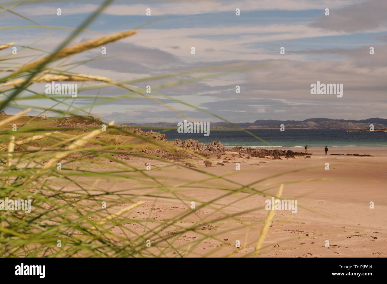 Une vue en regardant la mer sur Achnahaird Beach, en Ecosse, avec Roseaux en premier plan et les gens dans la distance au bord de la mer Banque D'Images