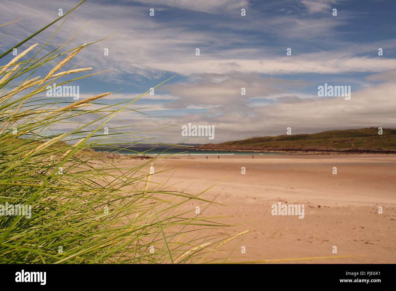 Vue à la recherche de la mer sur la plage de Achnahaird, Ecosse, avec roseaux en premier plan et des personnes sur l'exploitation des sables bitumineux au bord de mer à Big Sky Banque D'Images