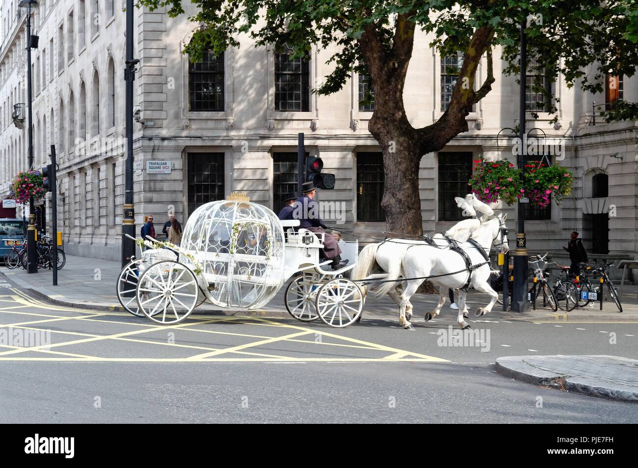 Cinderella coach and horses blanc traverse Trafalgar Square London England UK Banque D'Images