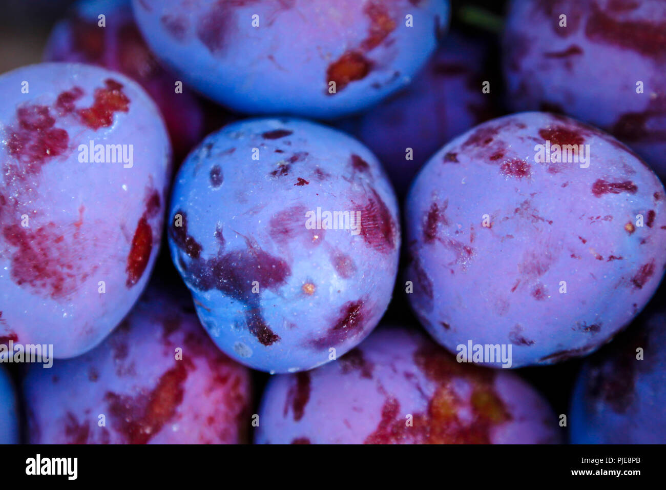 Close up de prunes rouges frais entier offert à un marché de producteurs Banque D'Images