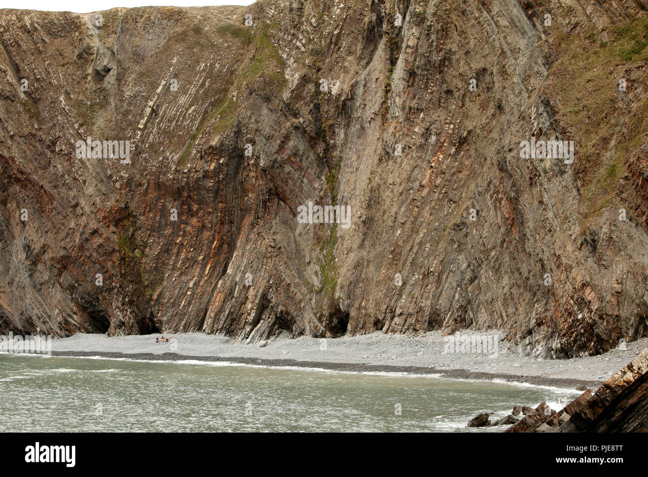 Se replie et compressé des pierres à Hartland Quay, North Devon, Angleterre. Banque D'Images