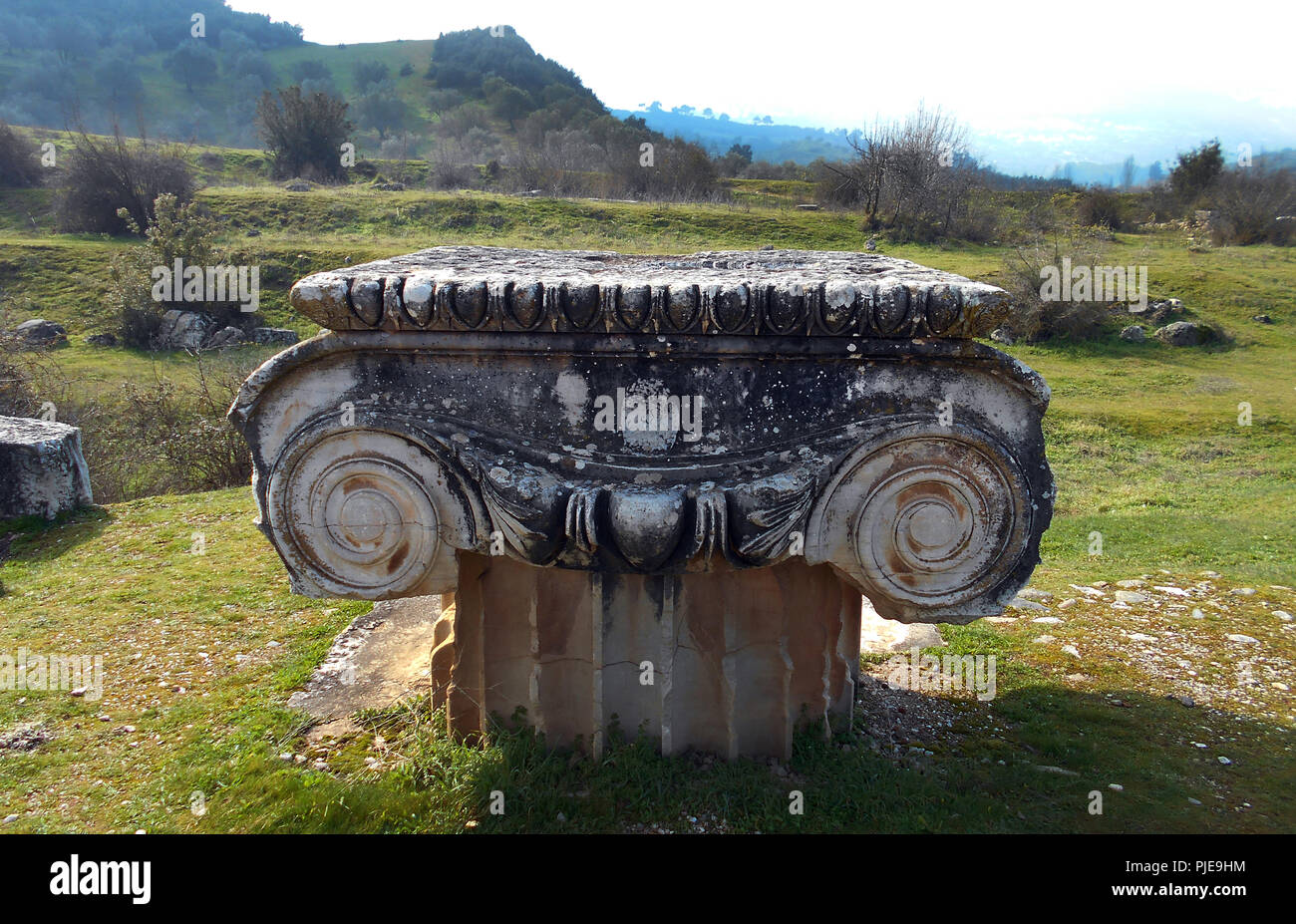 La section du haut d'une colonne ionique qui fait maintenant partie des ruines du temple d'Artémis à Ephèse en Turquie. Le temple est l'une des sept merveilles du monde antique. Banque D'Images