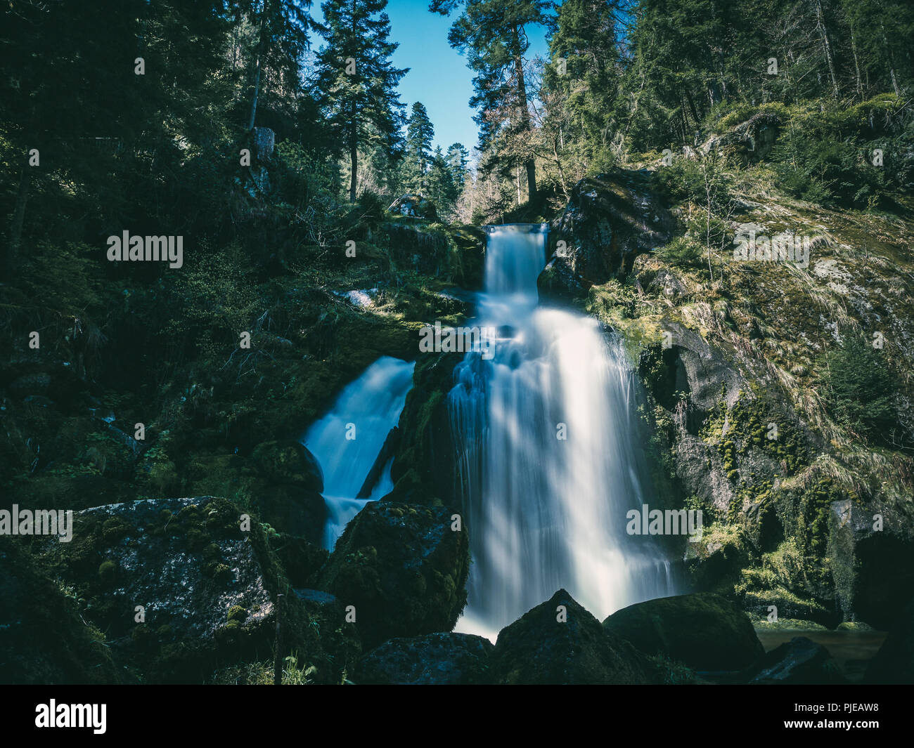 Cascade de Triberg en Forêt-Noire, Allemagne Banque D'Images