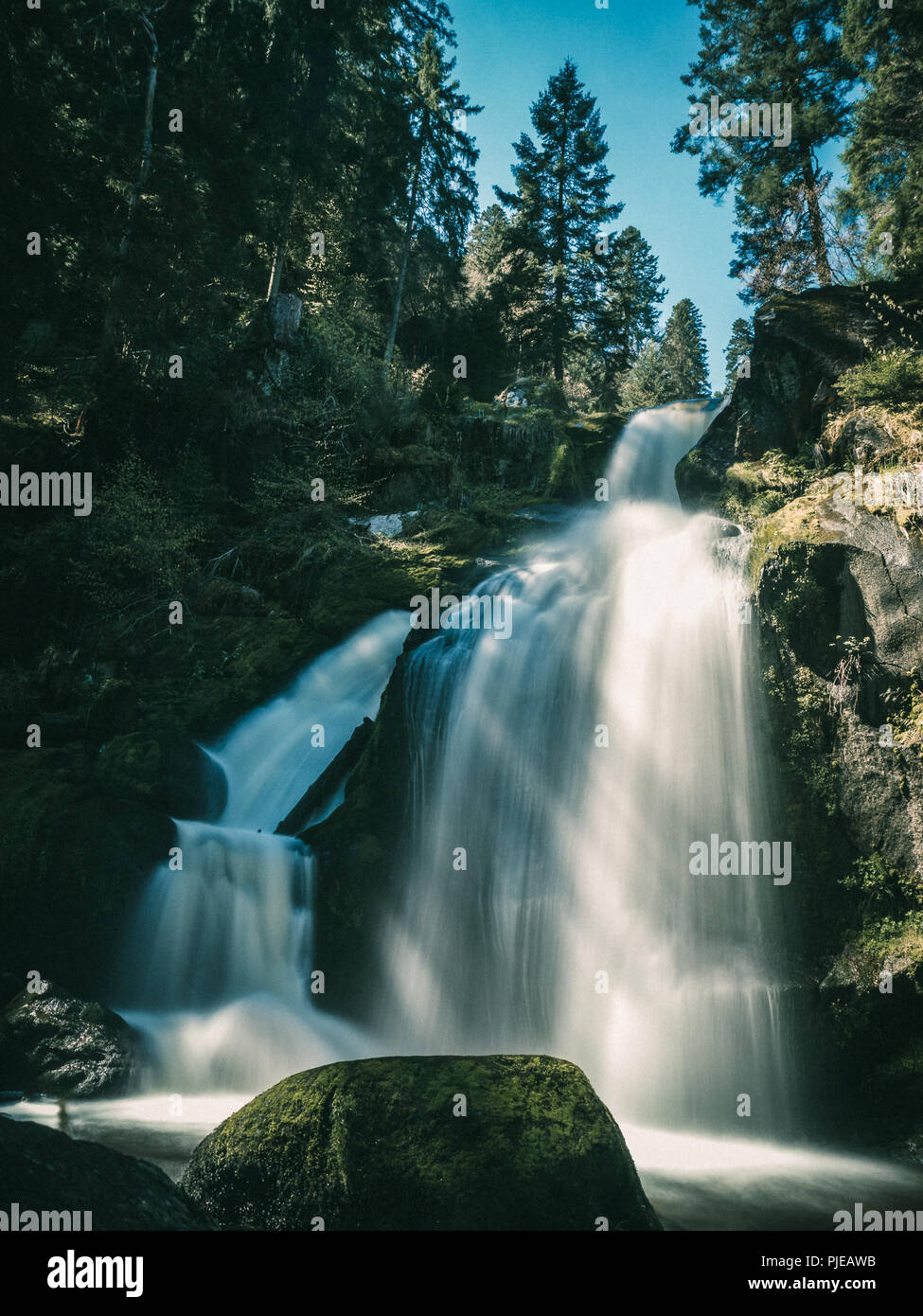 Cascade de Triberg en Forêt-Noire, Allemagne Banque D'Images