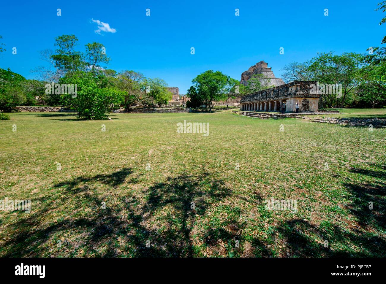 Vue de la Pyramide du Magicien de la ville maya préhispanique du site archéologique d'Uxmal, Yucatan, Province du Mexique, Amérique du Nord Banque D'Images