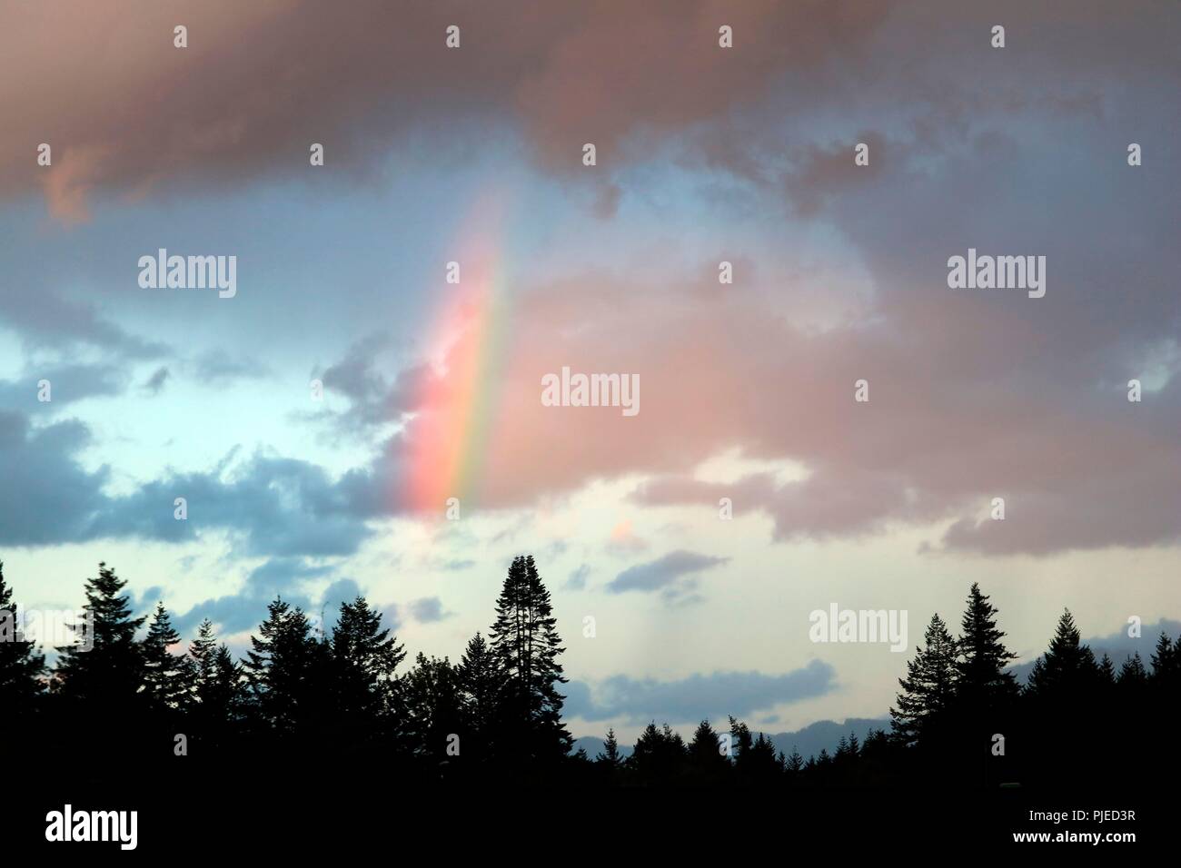 Arc-en-ciel au-dessus des montagnes boisées Banque D'Images