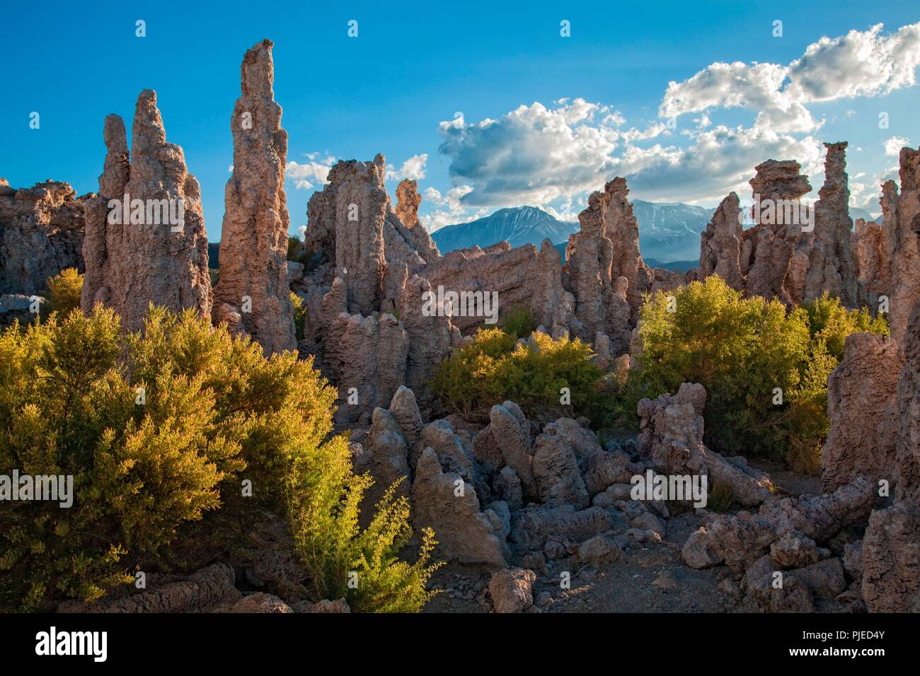 Formations de tuf du sud au lac Mono, Mono County, Californie Banque D'Images