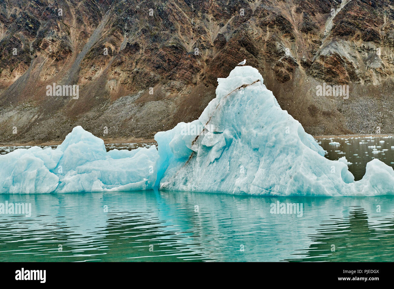 Kollerbreen ou Glacier, Svalbard, Spitzberg Europe Banque D'Images Kollerbreen ou Glacier, Svalbard, Spitzberg Europe Banque D'Images