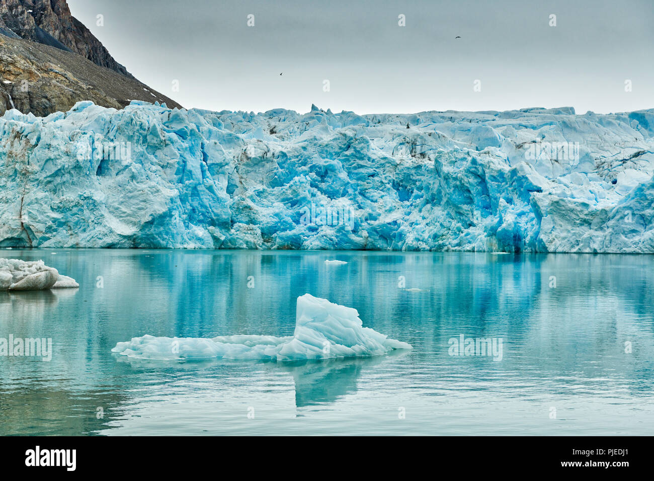 Kollerbreen ou Glacier, Svalbard, Spitzberg Europe Banque D'Images Kollerbreen ou Glacier, Svalbard, Spitzberg Europe Banque D'Images
