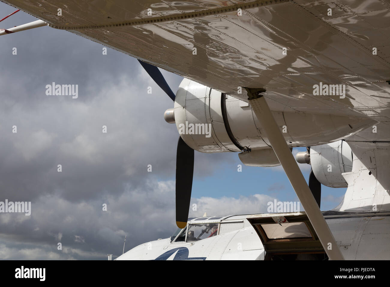 GOODWOOD, West Sussex/UK - 14 SEPTEMBRE : Close-up d'un hydravion Catalina à Goodwood le 14 septembre 2012 Banque D'Images