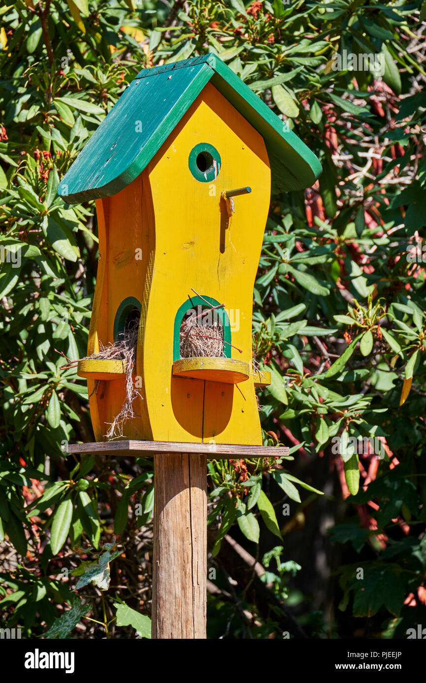 Custom made jolie maison d'oiseau peint en jaune et vert en face d'une haie sur un poteau en bois avec de multiples entrées. Banque D'Images