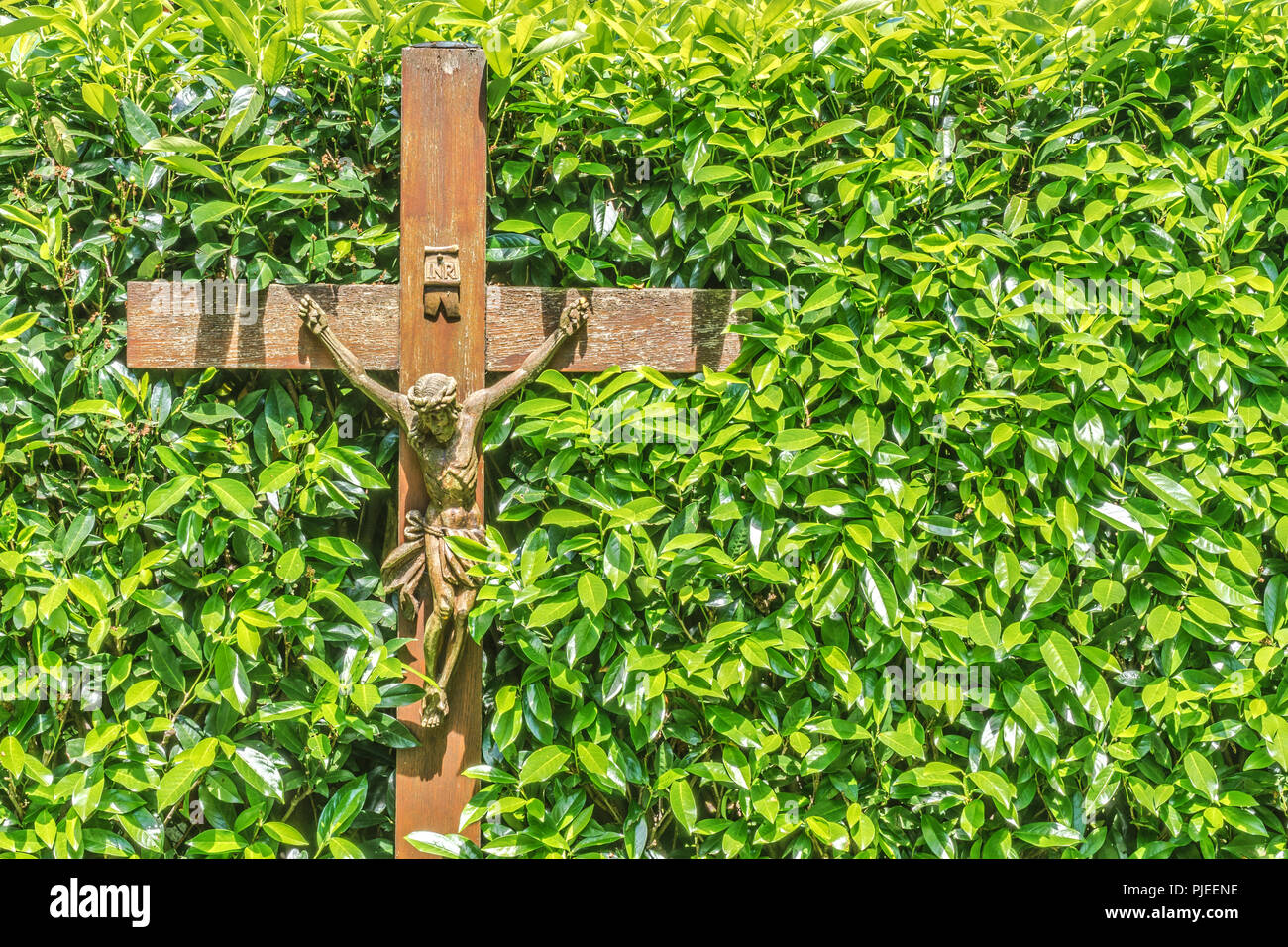 Crucifix en bois avec INRI écrit dessus en face d'une haie avec des feuilles vertes Banque D'Images