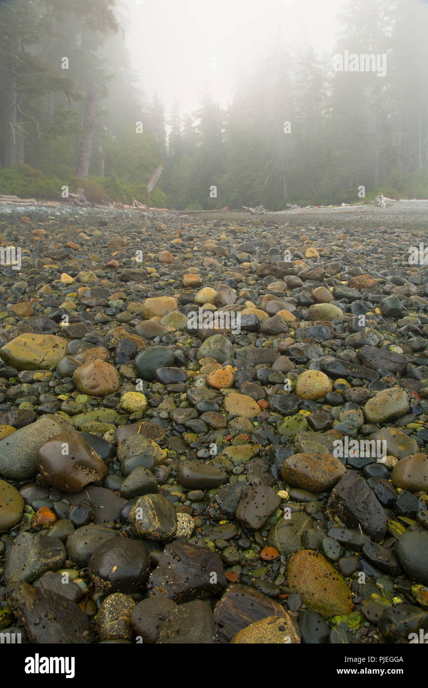 Sombrio Plage le long de Juan de Fuca Marine Trail, parc provincial Juan de Fuca, British Columbia, Canada Banque D'Images