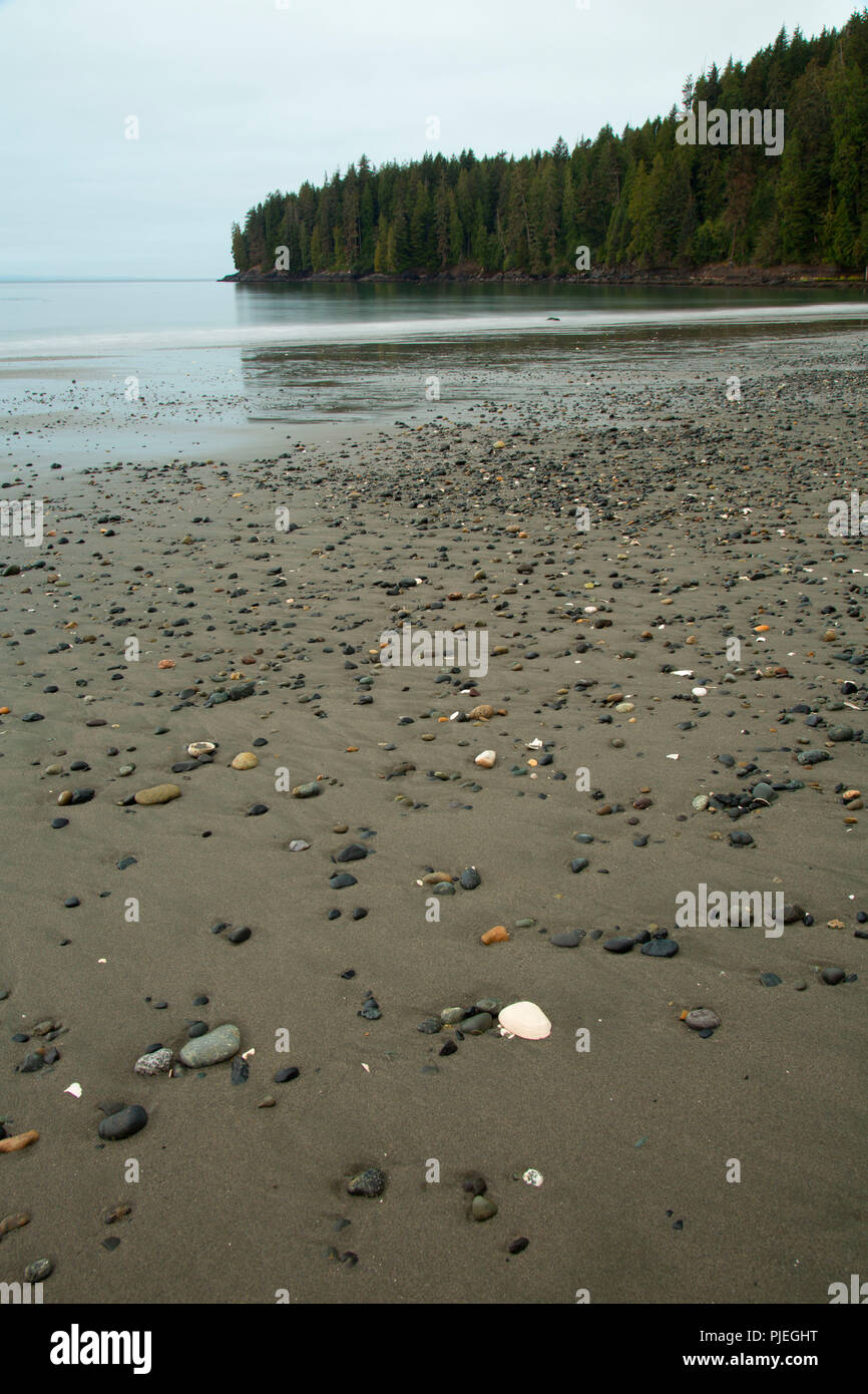 China Beach, parc provincial Juan de Fuca, British Columbia, Canada Banque D'Images