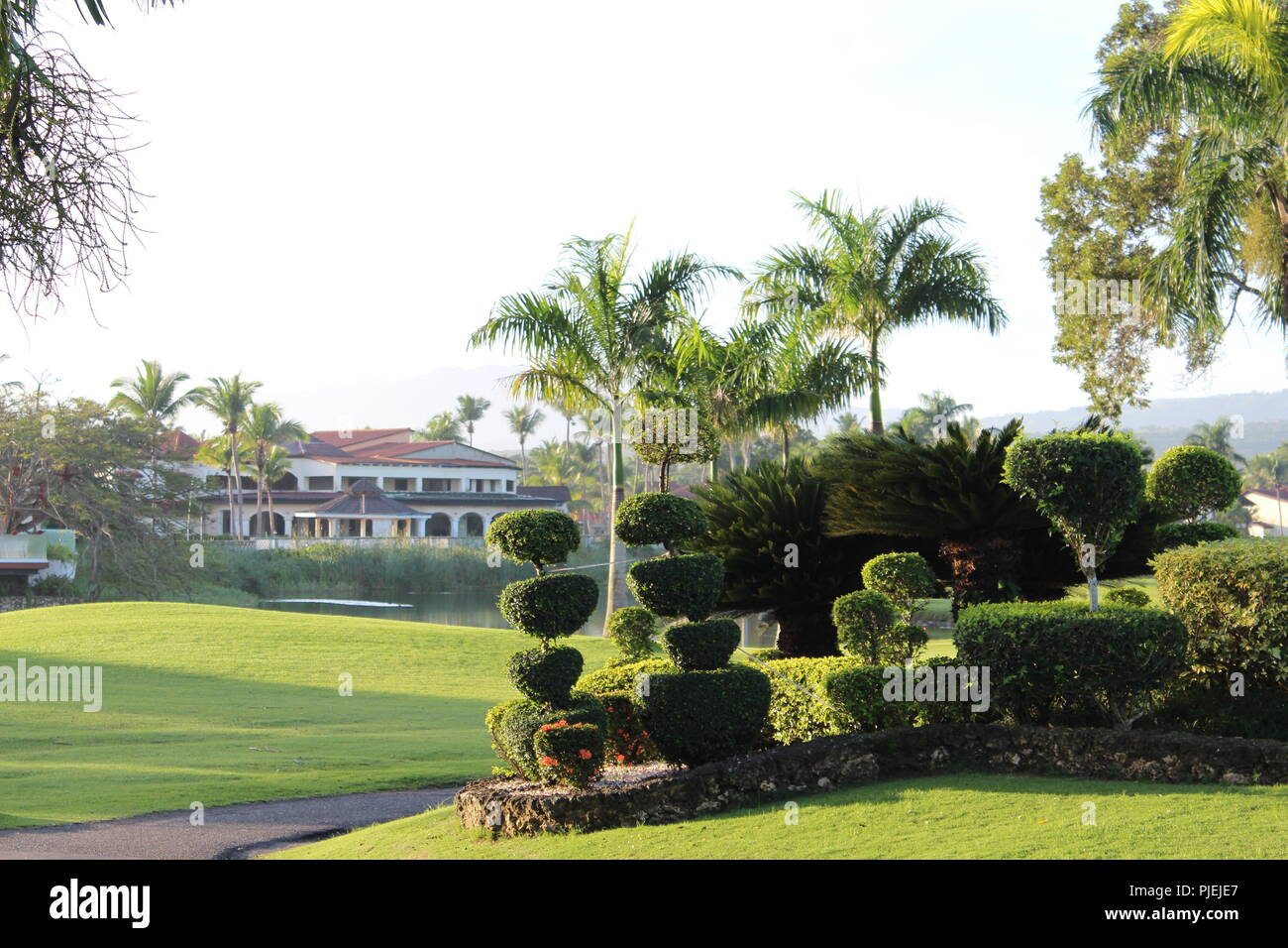 Les buissons paysagers et d'arbres à côté du panier au niveau du 18e trou au club de golf Banque D'Images