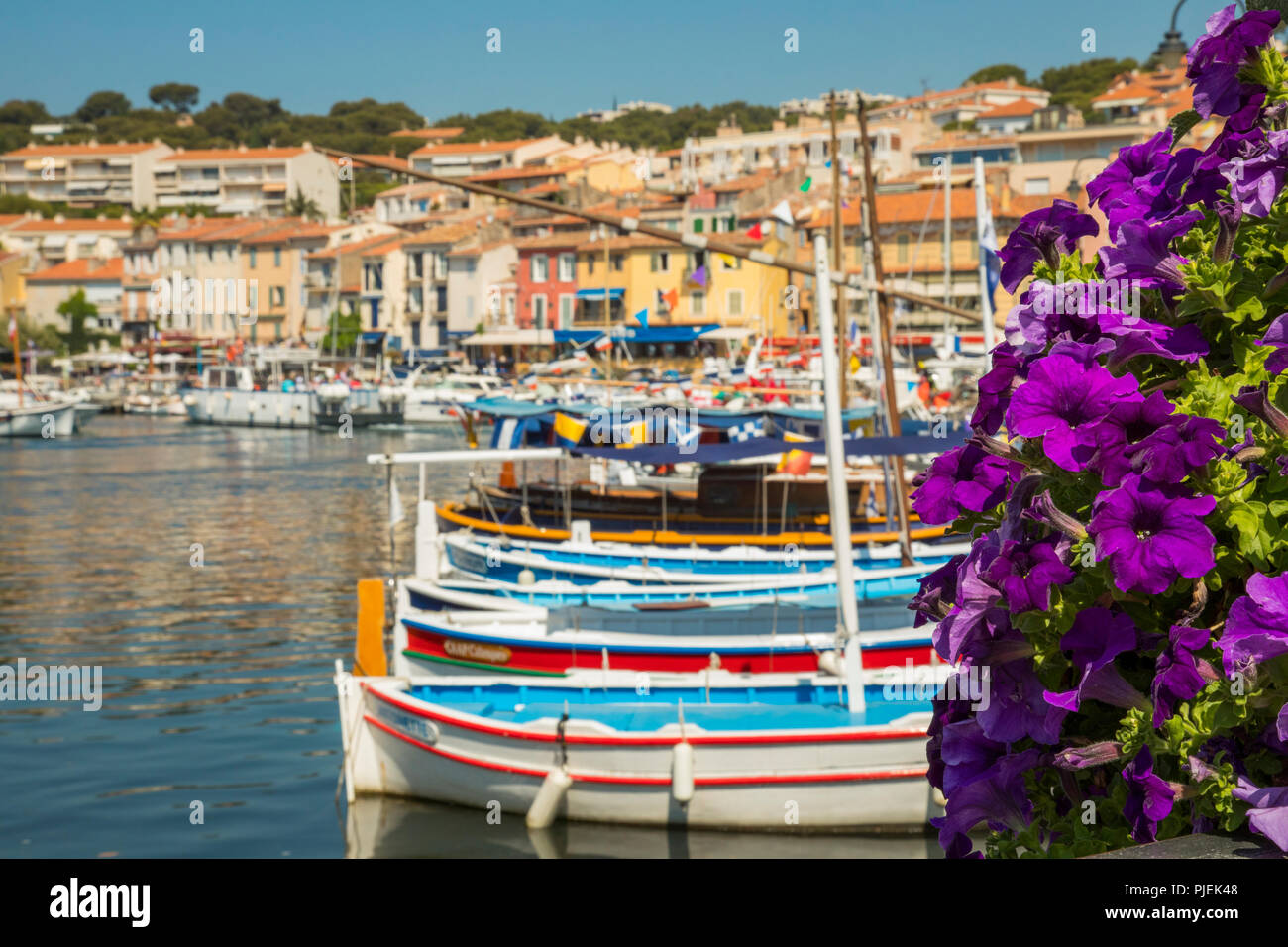 Cassis un port de pêche de la Méditerranée, dans le sud de la France Banque D'Images