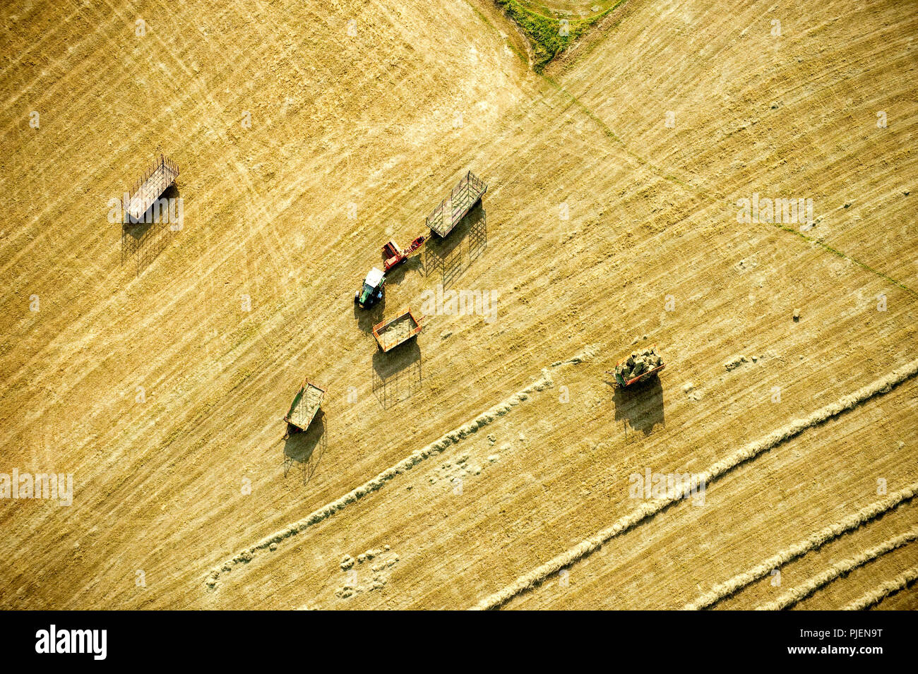 Un tracteur est la récolte d'un champ, vu de dessus. Banque D'Images