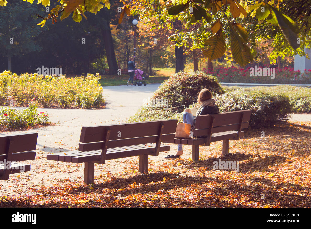 Des bancs de parc en bois, fille assise et la lecture du livre, paisible ville détendue sur le parc automne chaud jour, feuilles colorées, fleurs et arbustes Banque D'Images