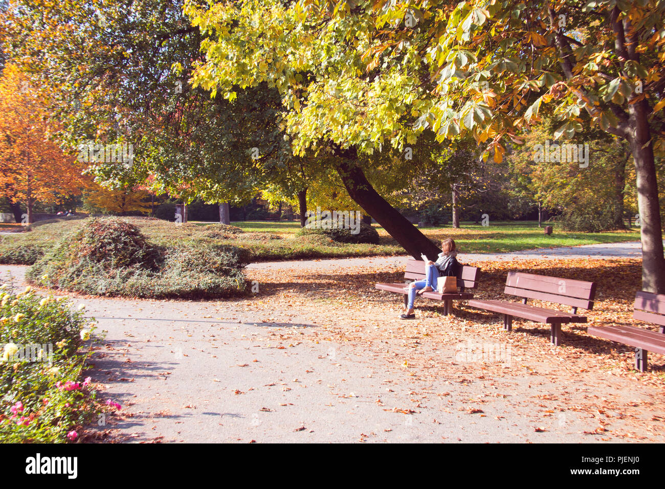 La saison d'automne, l'humeur météo ville magnifique parc avec des arbres et des feuilles colorées, jeune belle femme est assise sur le banc de parc et la lecture d'un livre Banque D'Images