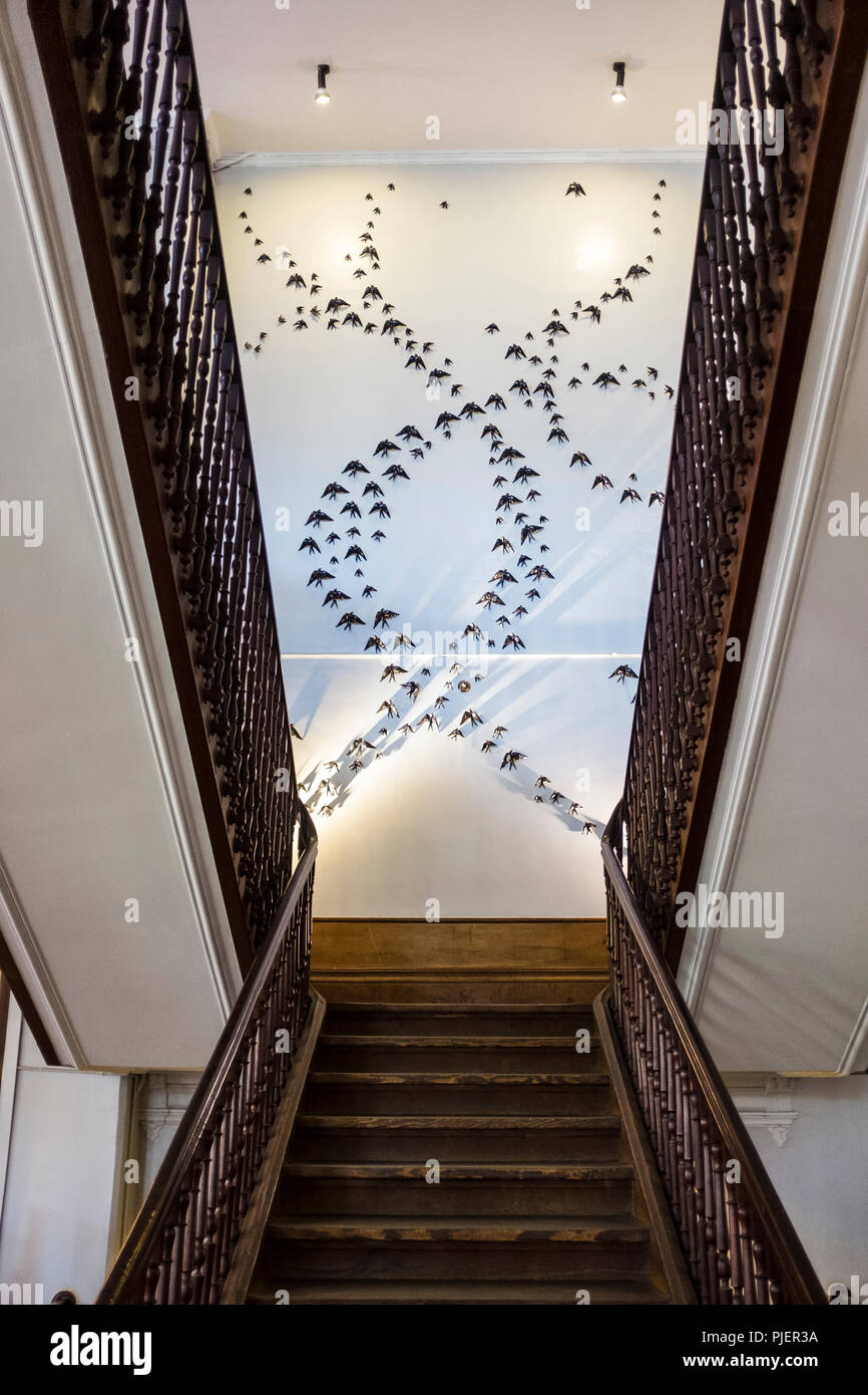 Escalier intérieur de A Vida Portuguesa, une très belle boutique Vente de produits Portugais, Clérigos, Porto, Portugal. Banque D'Images