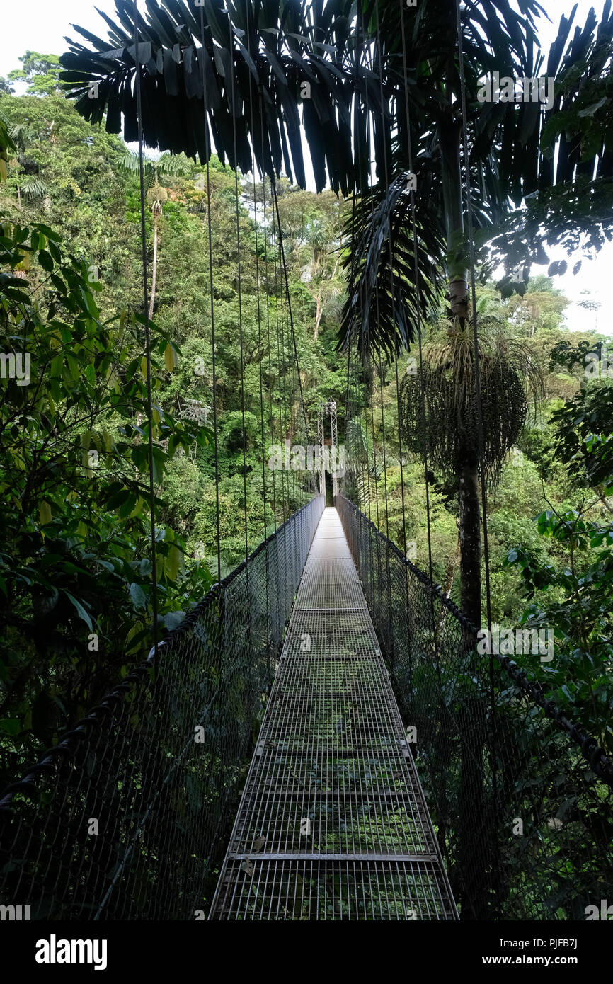 Pont suspendu au Costa Rica Banque D'Images