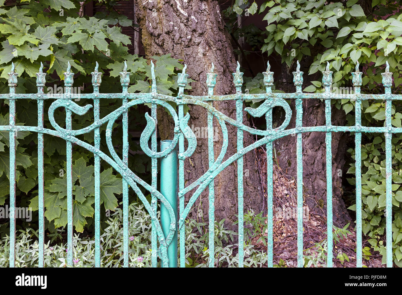 Vieux Jardin clôture décorative en métal peint en bleu avec décollement de peinture Banque D'Images