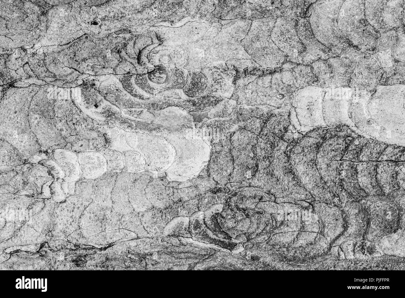 Un rock surface montrant des motifs tourbillonnants de l'usure. Banque D'Images