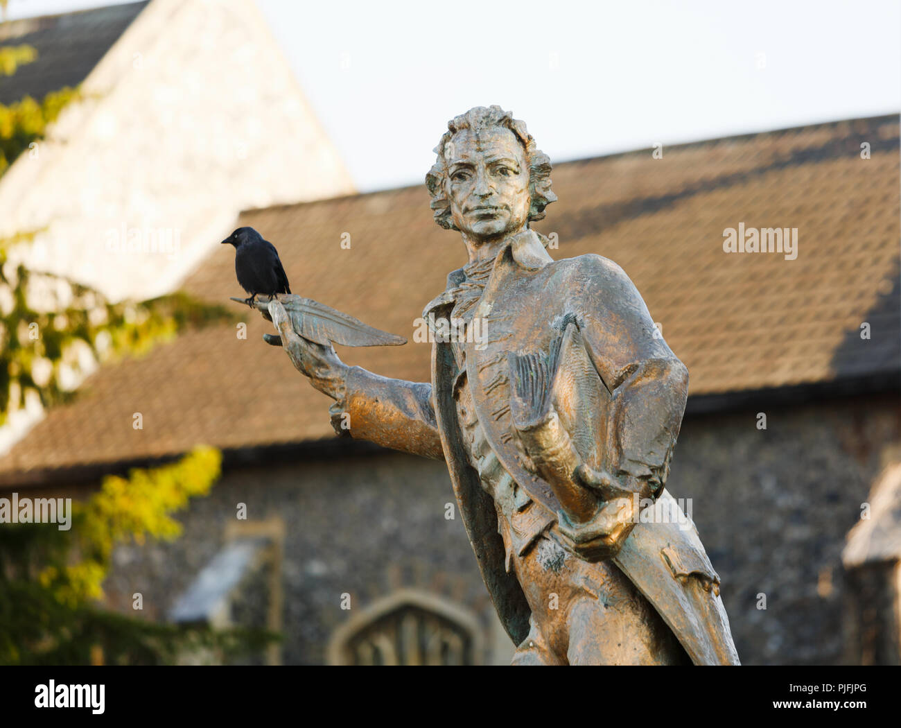 Geai oiseau perché sur le roulement de la statue de Thomas Paine, Thetford, UK. Non aiguisé Banque D'Images