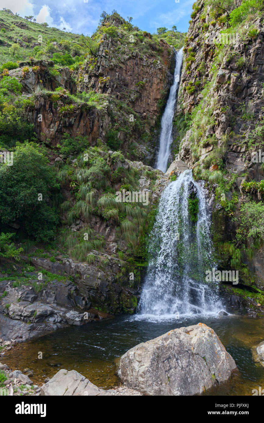 Cascade au milieu de la jungle. L'Amérique du Sud Banque D'Images