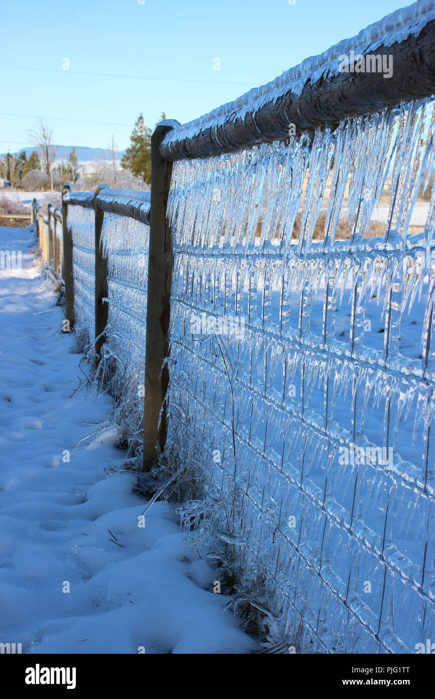 Clôture pleine de glaçons en hiver Banque D'Images