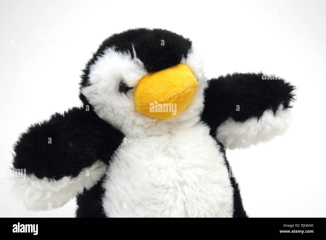 Peluche pingouin Banque D'Images