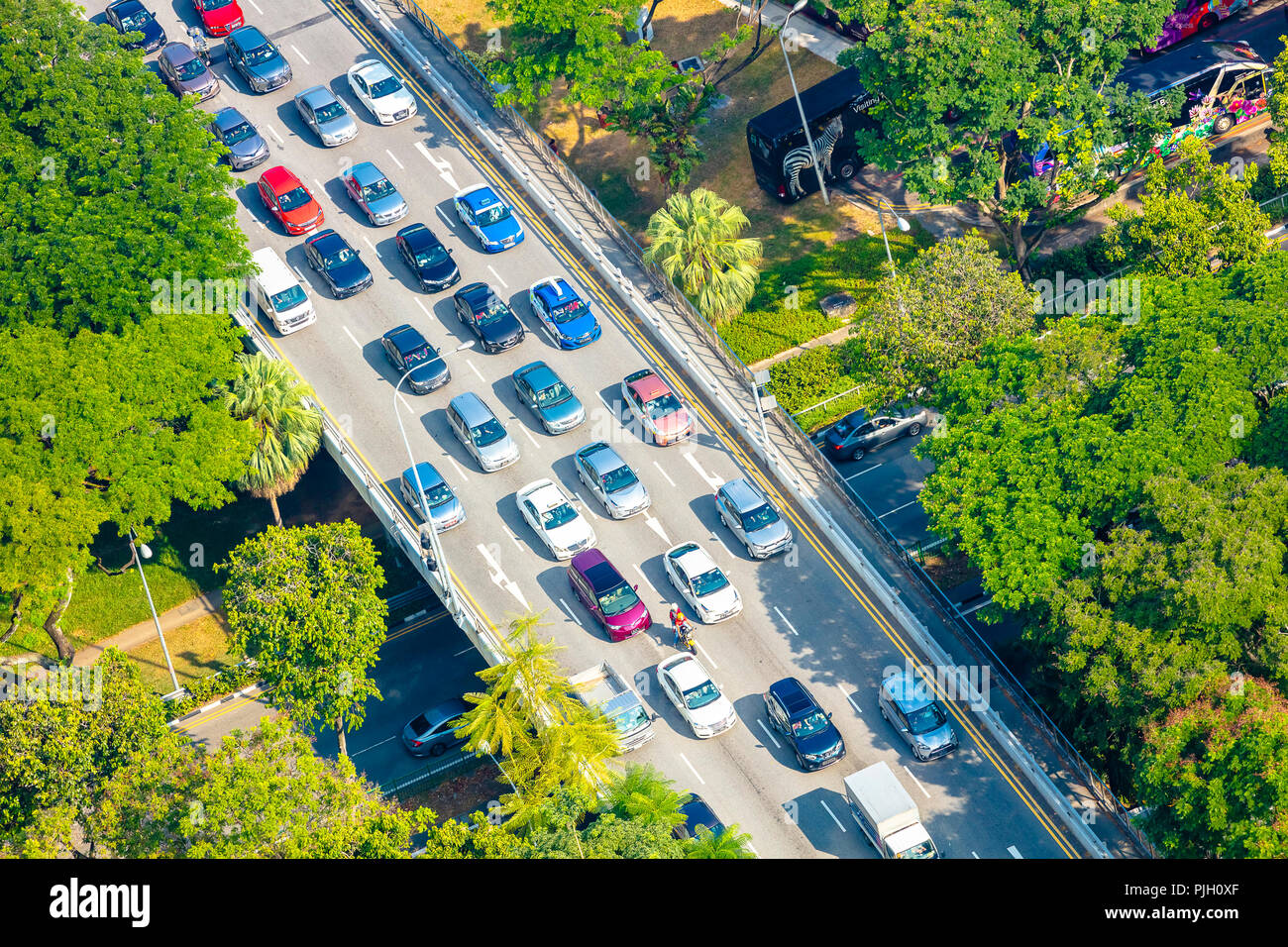 Singapour - le 18 août 2018 : Vue de dessus de la circulation automobile de la route au-dessus des arbres à l'autopont de Bugis Junction Banque D'Images