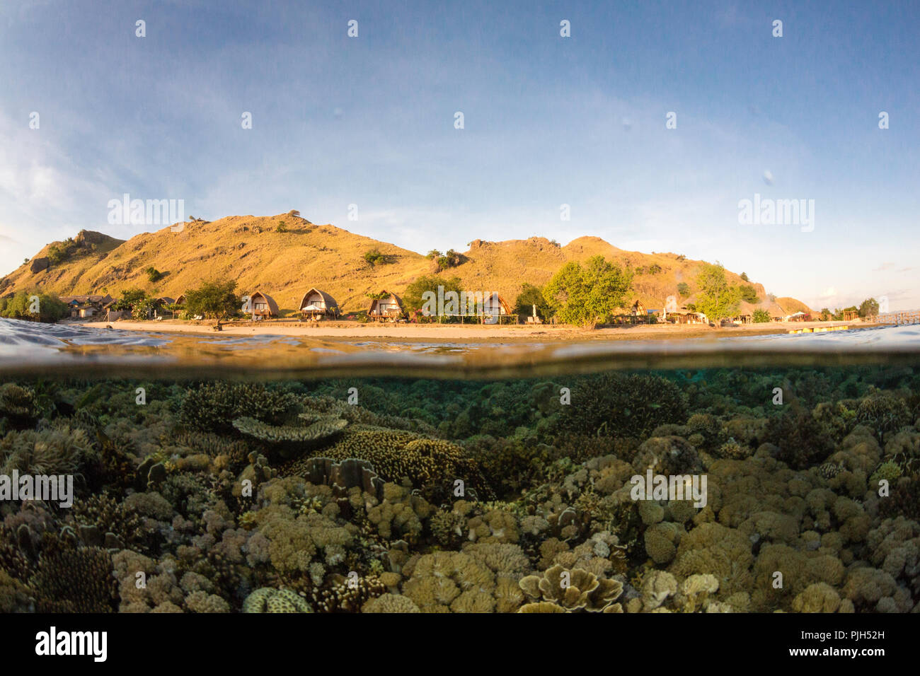 La moitié supérieure et la moitié inférieure de l'affichage de plongée Komodo Resort, l'île de Sebayur, la mer de Flores, en Indonésie Banque D'Images