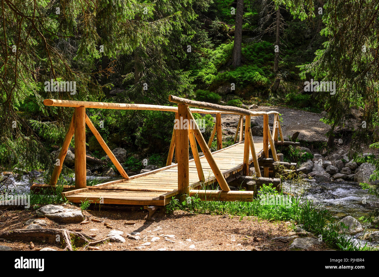Pont de bois sur une rivière de montagne. Close-up. Banque D'Images