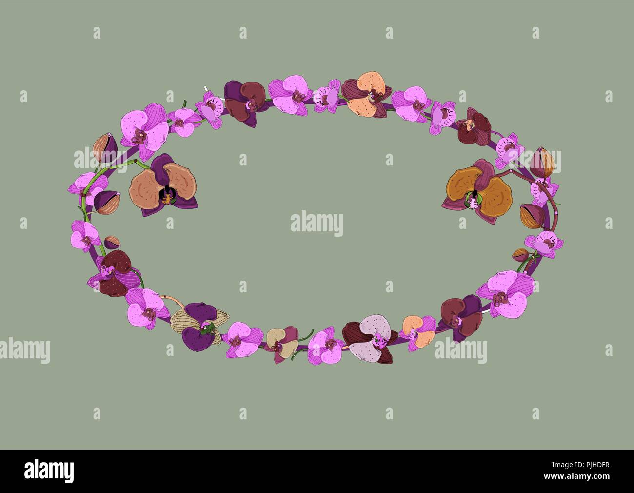 Cadre ovale fleurs d'orchidée fleurs et bourgeons sur fond vert avec copie espace. La conception romantique, annonces de mariage, cartes de vœux, affiches, adv Illustration de Vecteur