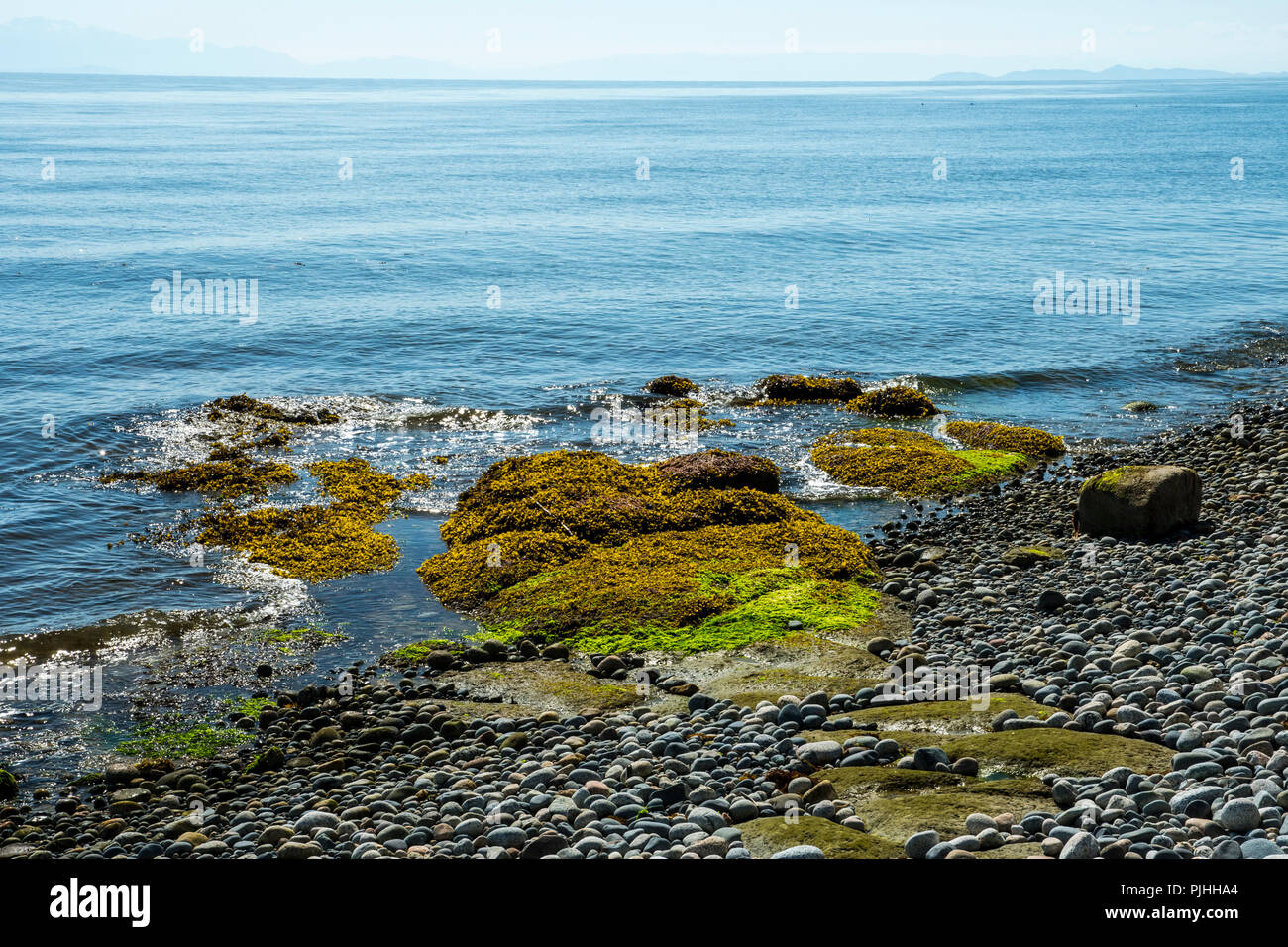 La rive près de Sechelt, en Canada Banque D'Images