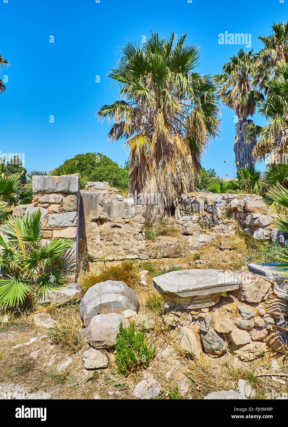 Vestiges de l'ancienne Agora à Stoa du port de Kos. Région Sud de la mer Egée, en Grèce. Banque D'Images