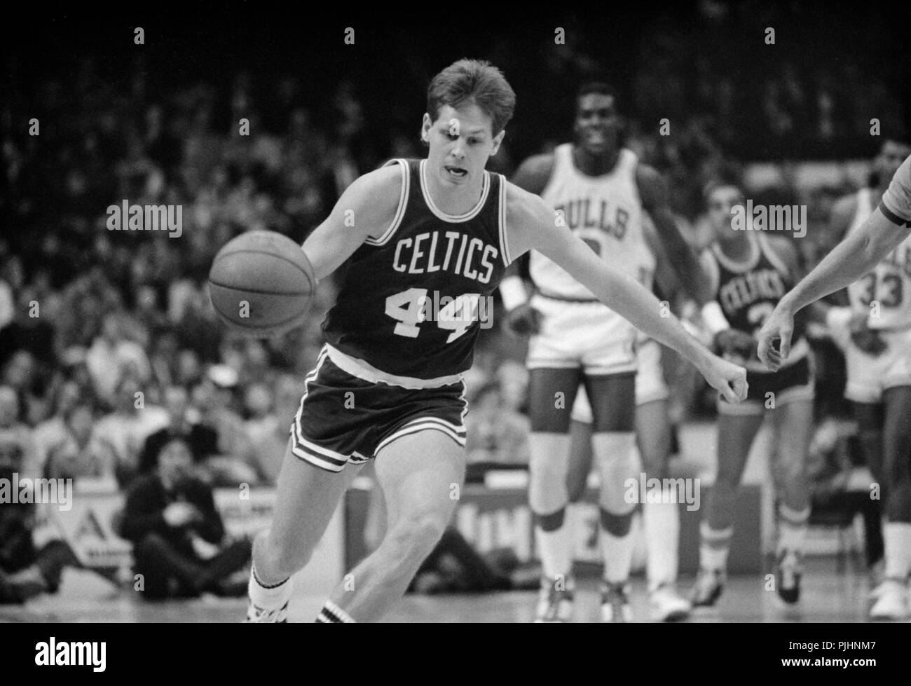 Boston Celtics Danny Ainge apporte la balle contre les Chicago Bulls lors d'une partie du Chicago Stadium en 1985. Banque D'Images