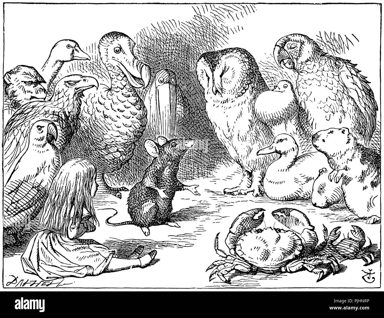 Illustration de John Tenniel Banque D'Images